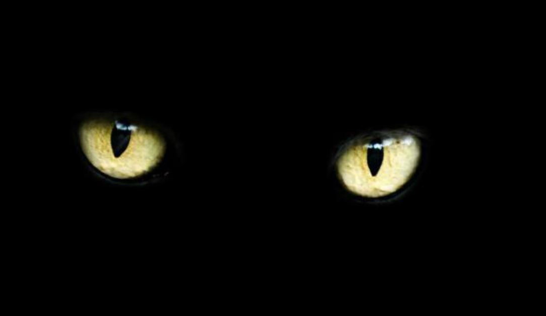 Bijgeloof Black Cat Eyes